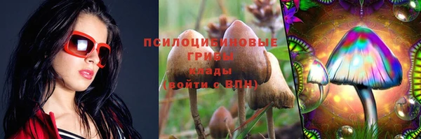 2c-b Абаза