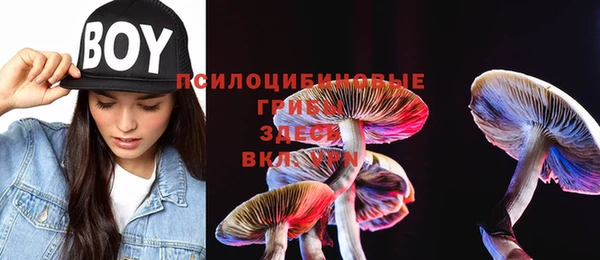 спиды Абинск