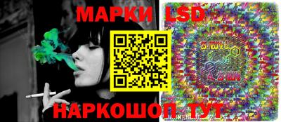 a pvp Новодвинск