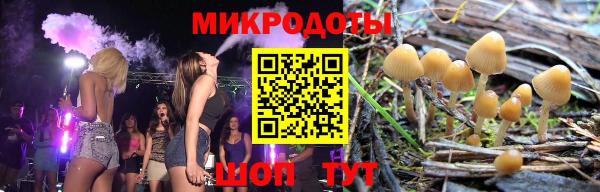 Галлюциногенные грибы Psilocybe  Вход с VPN  Усть-Илимск 