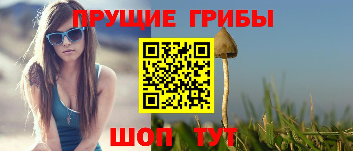 Галлюциногенные грибы прущие грибы Усть-Илимск